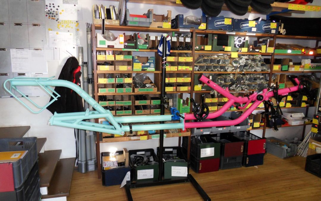 Amazing AZUB TWIN recumbent tandem