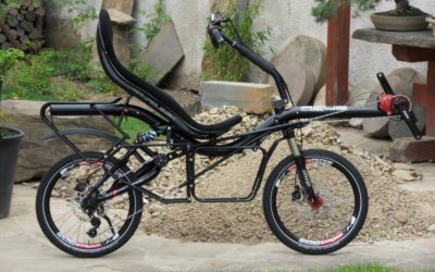 AZUB MINI in black with little red details and german Pinion 18 speed gear box