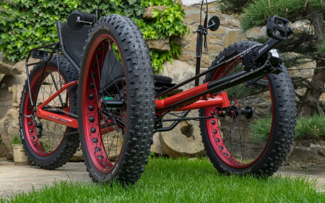 AZUB FAT trike with Pinion gear hub