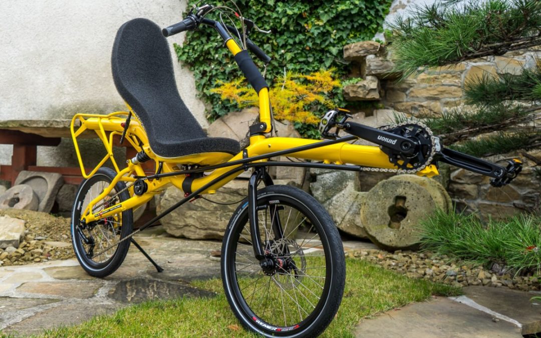 Banana AZUB Mini with Pinion gear hub