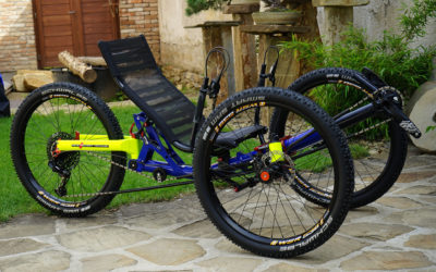 Ti-FLY X inspired by Dory