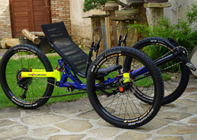 Ti-FLY X inspired by Dory