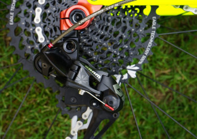 Ti-FLY X inspired by Dory