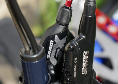 Ti-FLY X inspired by Dory