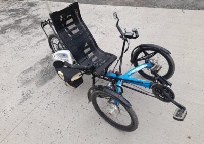 TRIcon 20 modrá + Bionx motor