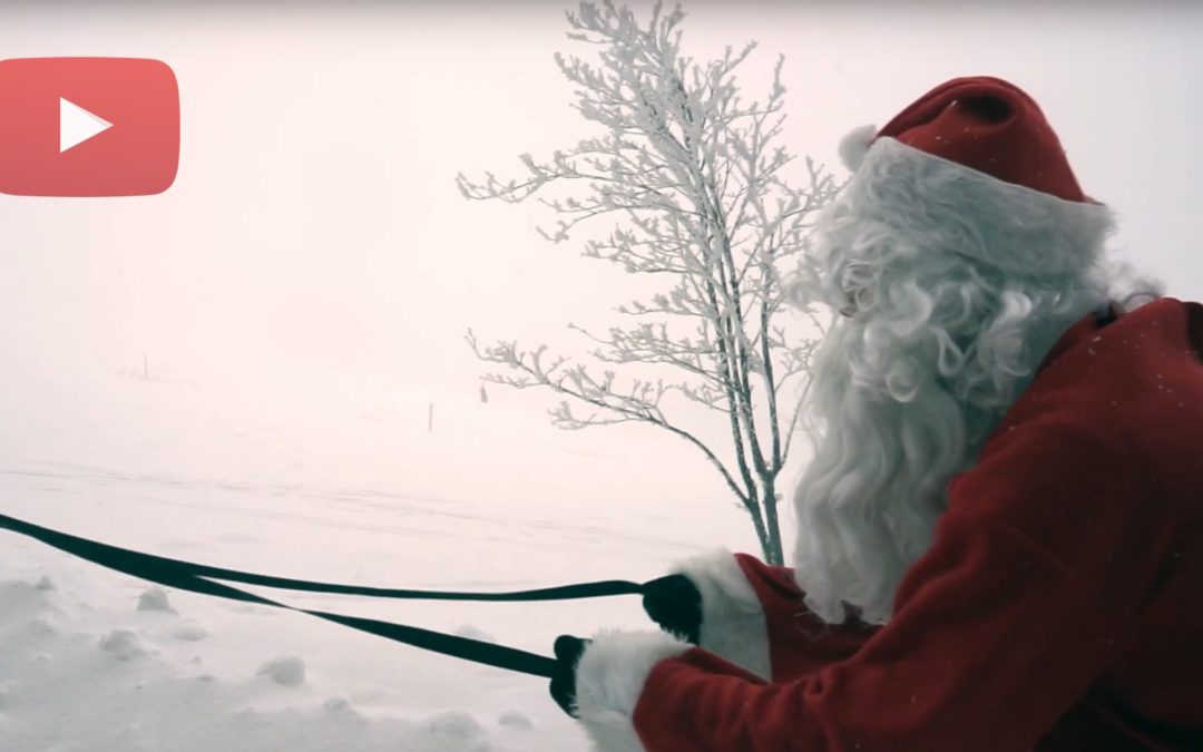 Bezpečně a zábavně v roce 2019