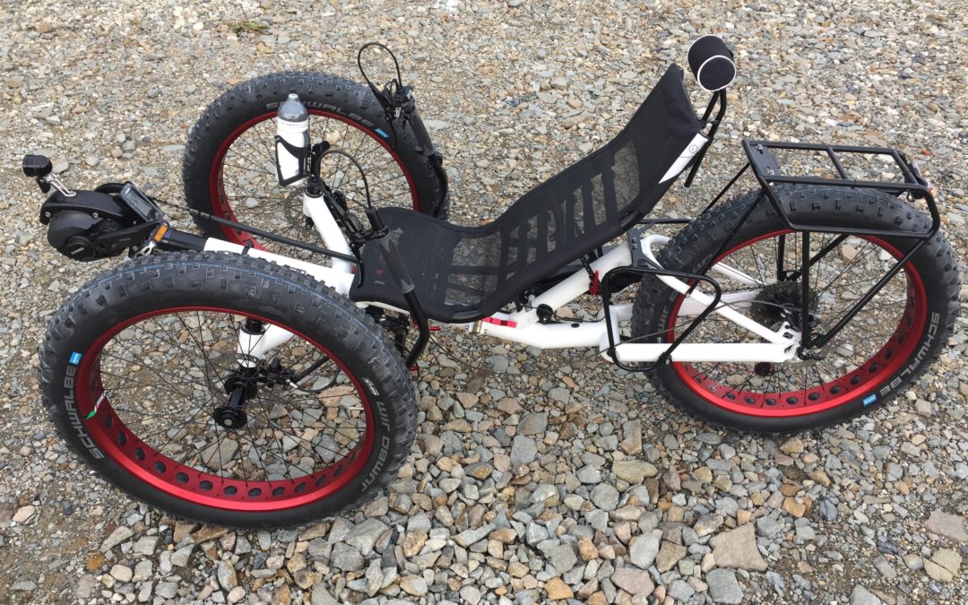 AZUB FAT with Shimano Steps E8000 and XTR Di2