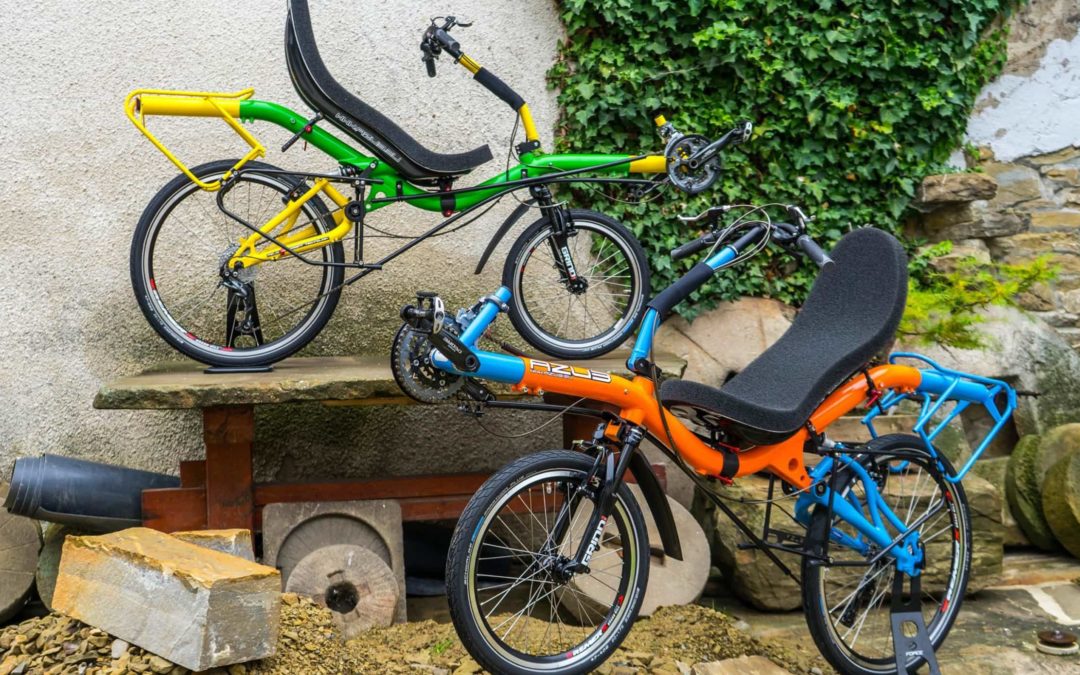 We would like to make your life more colorful – ColorShop free of charge and dropshipping