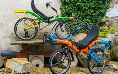 We would like to make your life more colorful – ColorShop free of charge and dropshipping