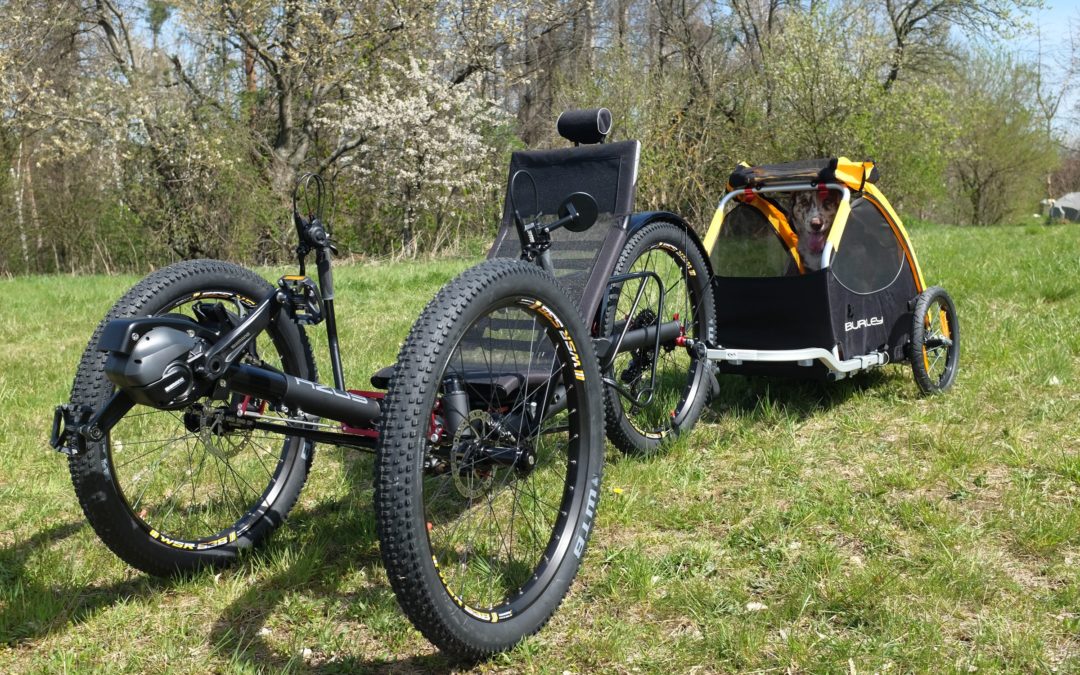 Is the Ti-FLY X the best trike to ride with your dog? For sure is!
