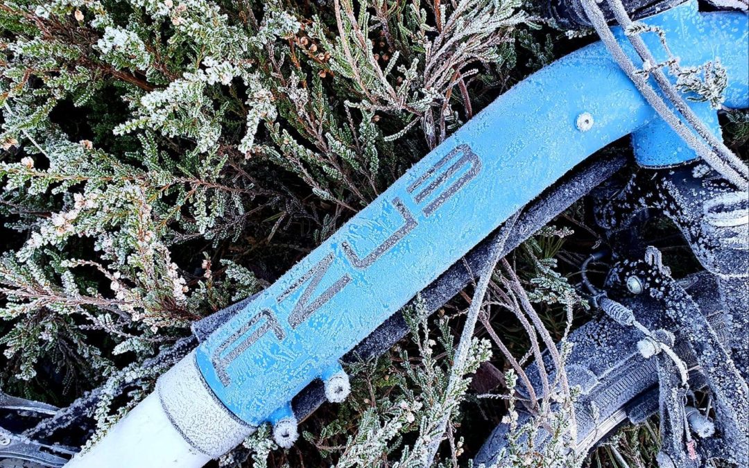 Little photo contest