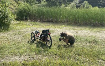 AZUB T-Tris 26 in the quarry