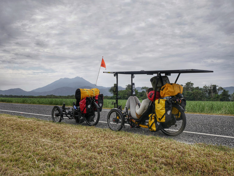 Sugar Cane Field near Mossman