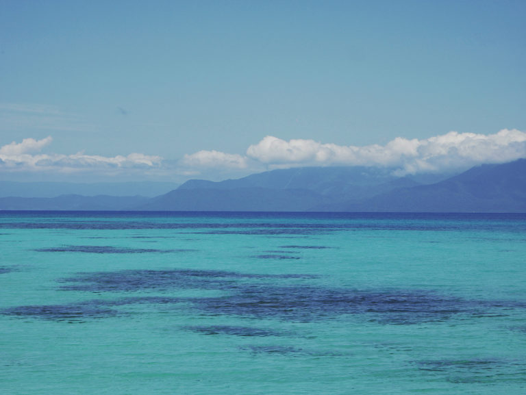 The Great Barrier Reef