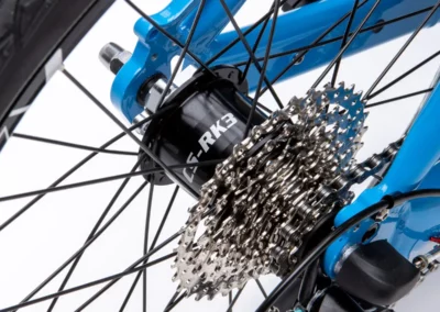 Standard drivetrain of the T-Trisek is the Sturmey Archer 3x9