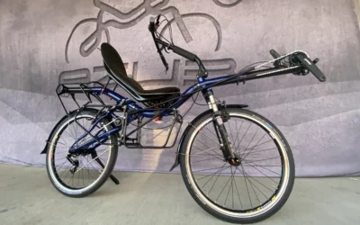 AZUB MAX 26 touring recumbent with Pinion P1.18 drive