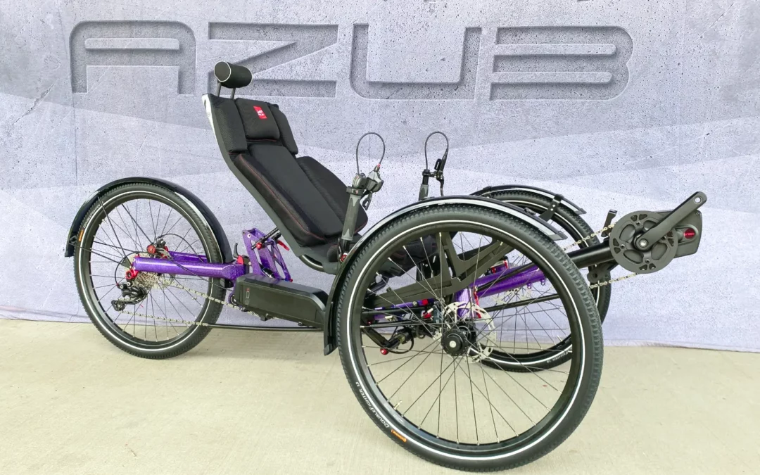 Custom Painted AZUB Ti-FLY X Recumbent Trike with Unique Voodoo Child Finish