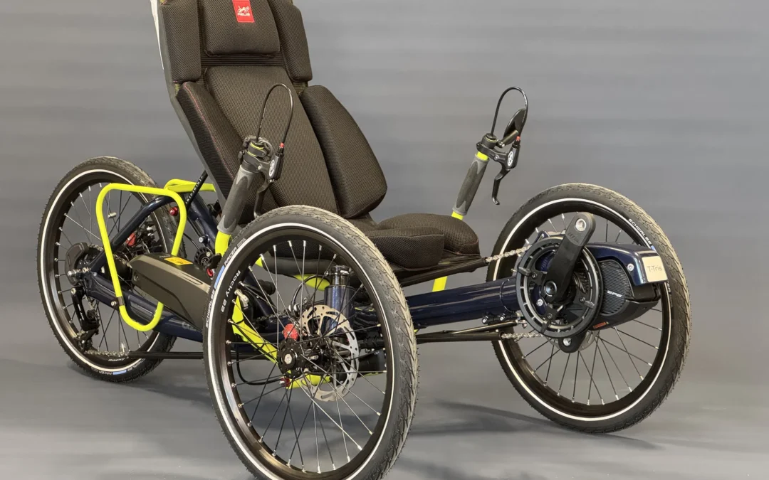 A Special T-Trisek for a Special Kid! 😃